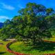王槐建