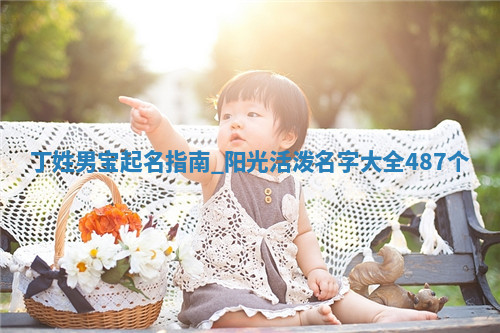 丁姓男宝起名指南：阳光活泼名字大全(487个)